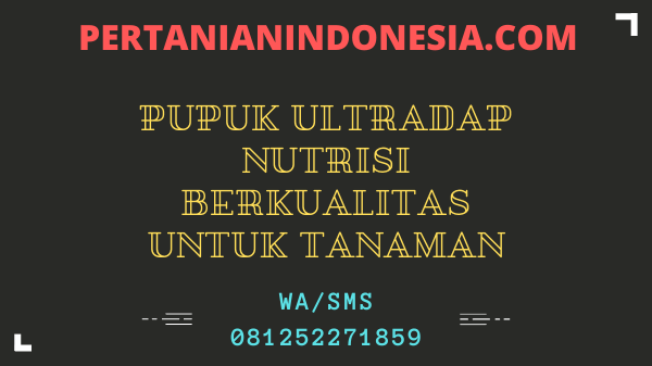 Pupuk Ultradap Nutrisi Berkualitas Untuk Tanaman